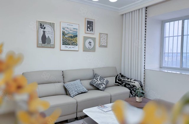 房东着急卖 实验   文轩 望湖花园 电梯房 精装修 免大税