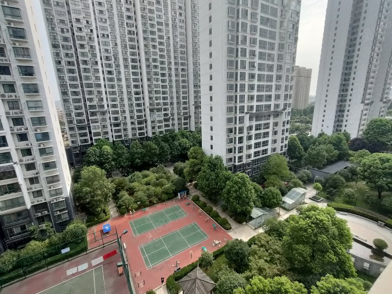 南阳中景门国贸图片