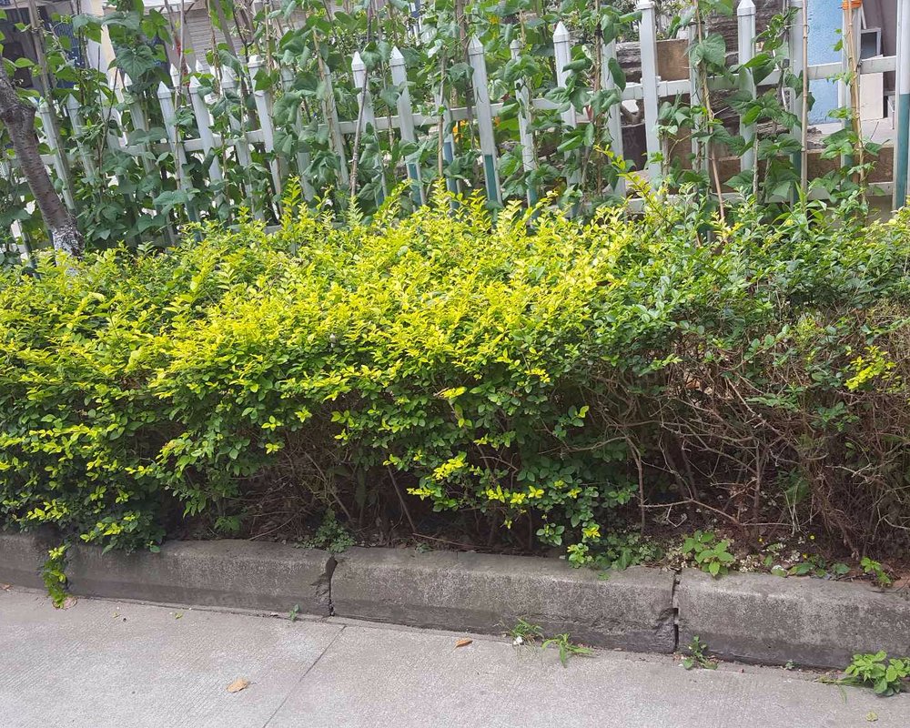 【太阳花园, 太阳花园小区详情,房价走势,房源,业主论坛】- 上海58