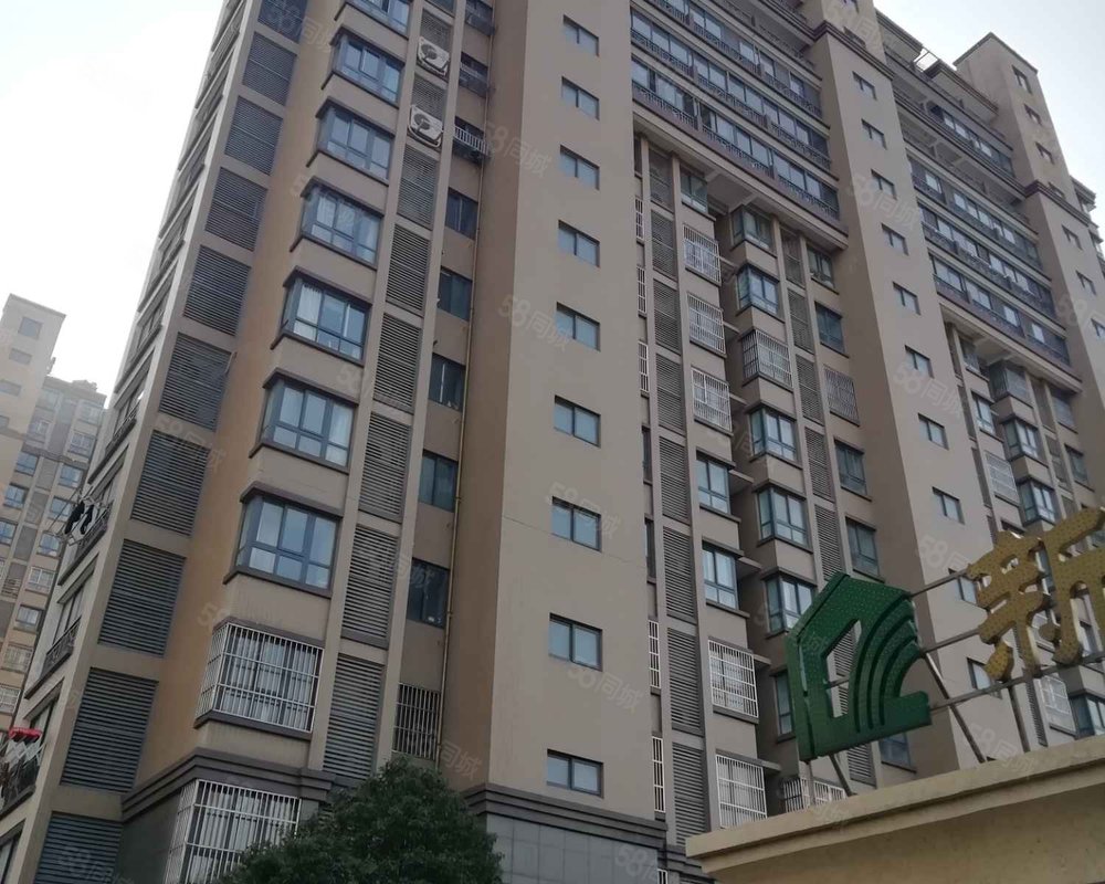 新能源铂金公馆