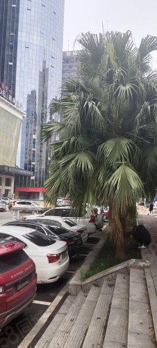 【定王大厦房价走势,定王大厦房屋出租,定王大厦二手房出售】- 长沙58