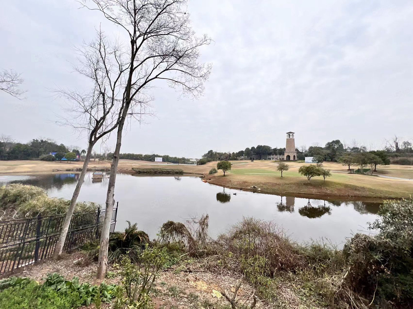 香缇湾A区5室3厅5卫496㎡南北900万