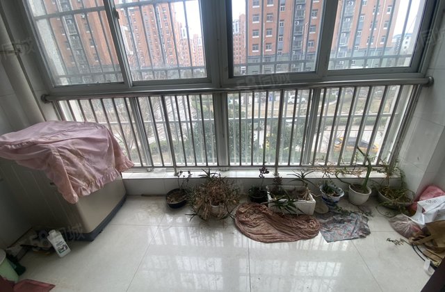 莲湖花园 南北通透 商品住宅 医疗配套成熟 小三居