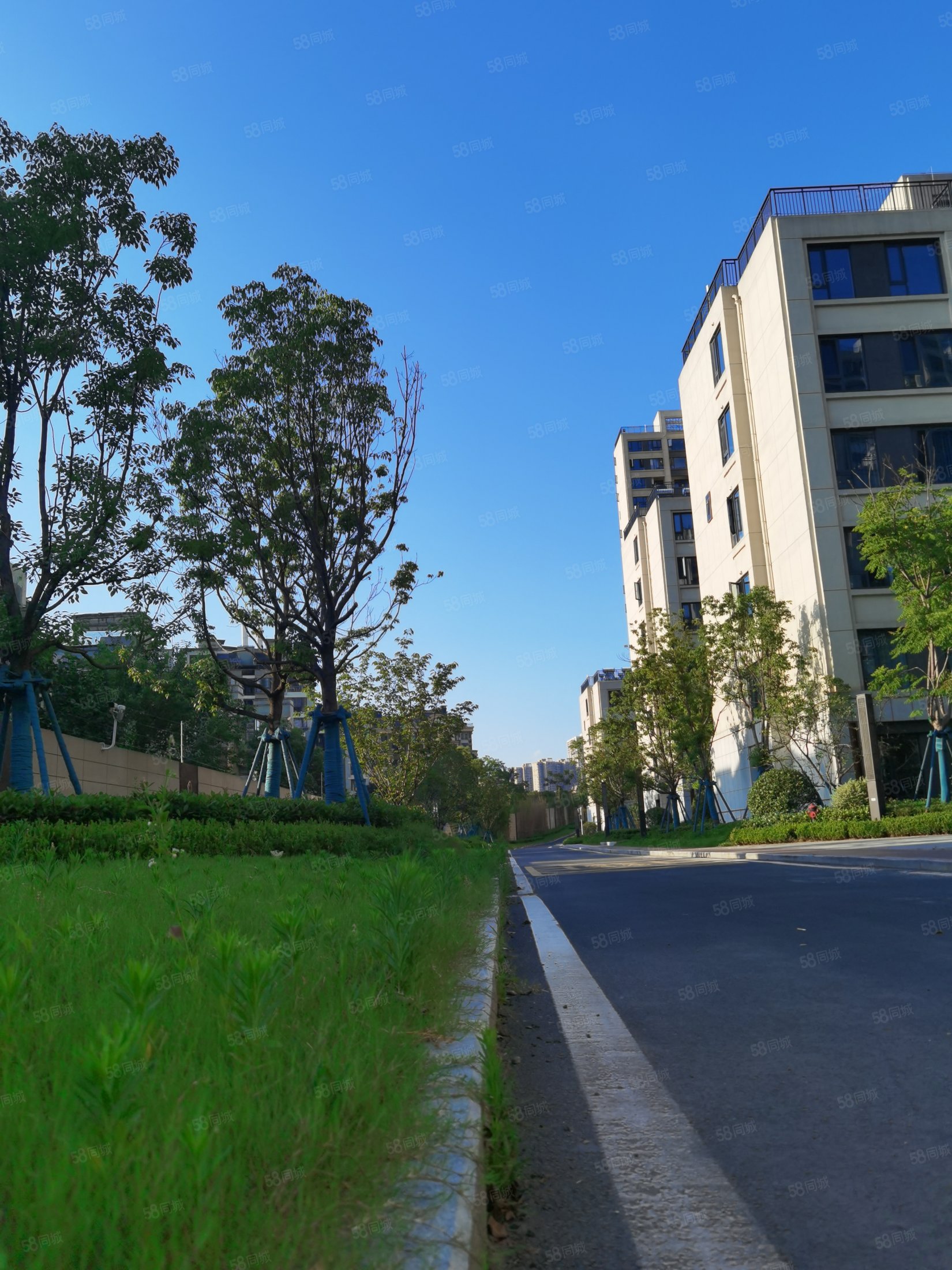 正荣紫阙台4室2厅2卫167.77㎡南410万