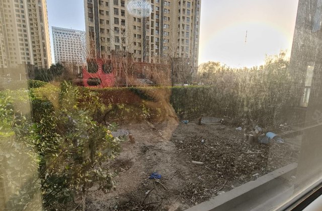 一楼带40平院子，3居双卫，万达附近，五中，阿尔卡迪亚。
