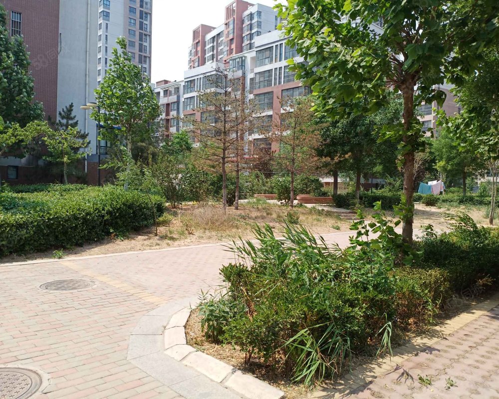 【幸福城(枣强), 幸福城(枣强)小区详情,房价走势,房源,业主论坛】