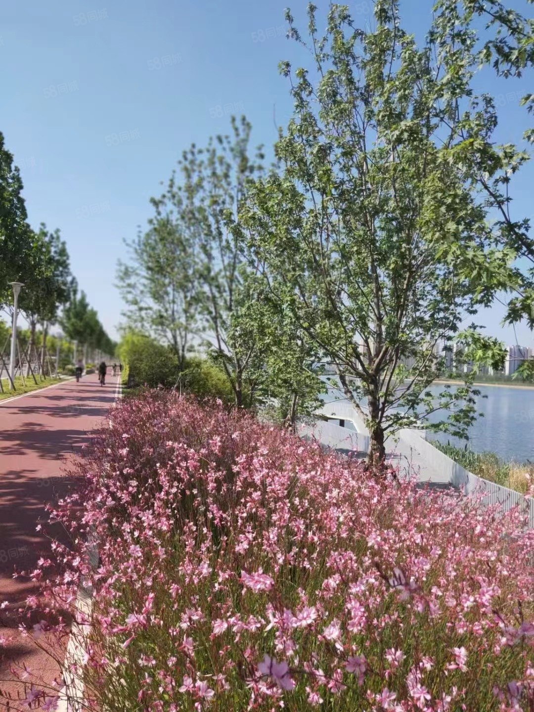 西航花园3室2厅1卫103.4㎡南北79万