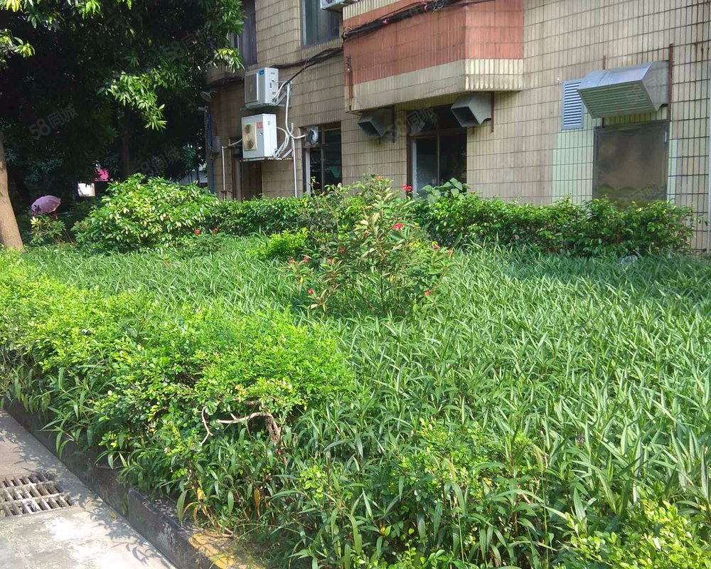 花地湾荷花苑小区详情,房价走势,房源,业主论坛】- 广州58同城