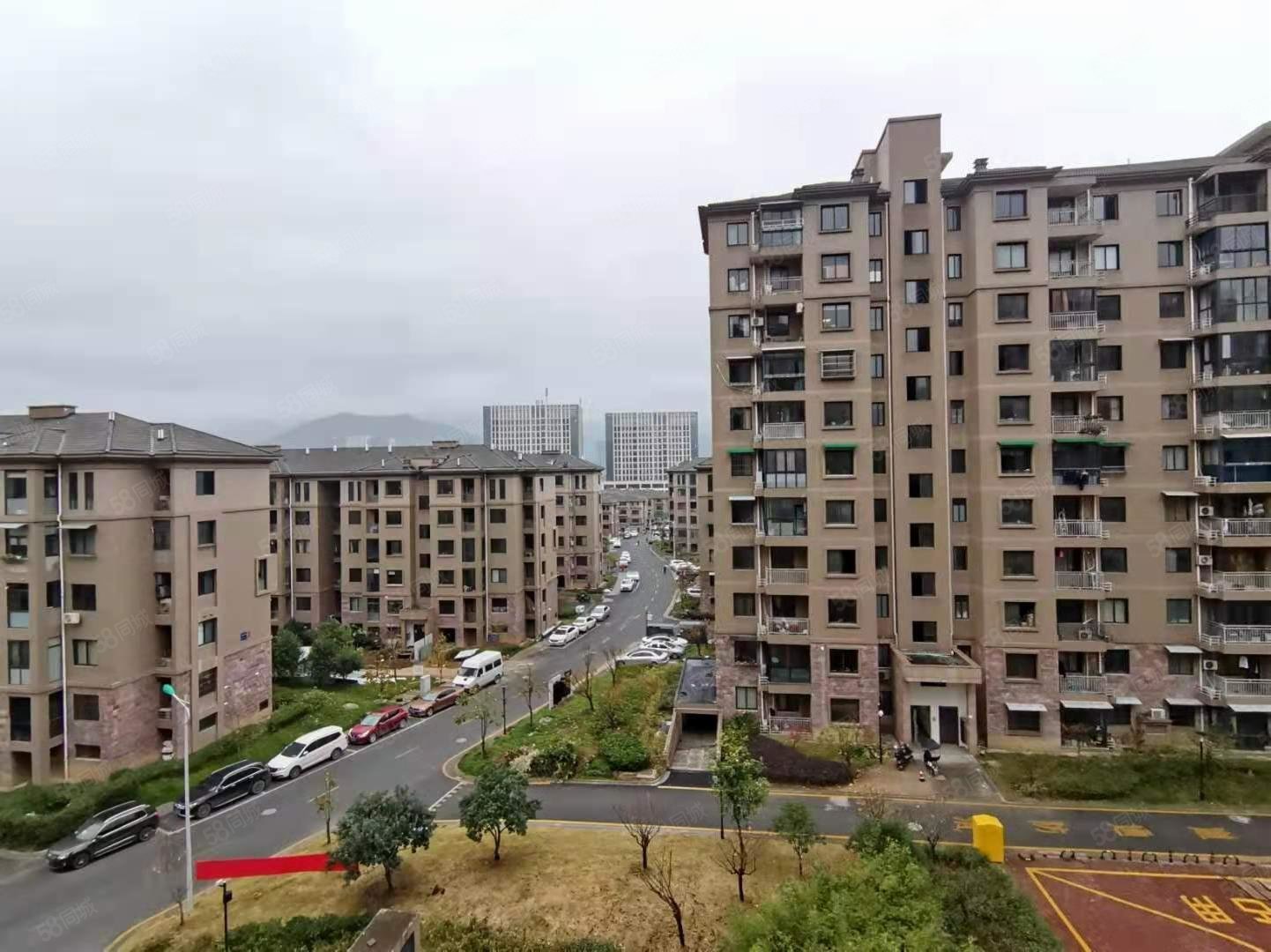 梓树花苑(公寓住宅)2室2厅1卫81㎡南北155万