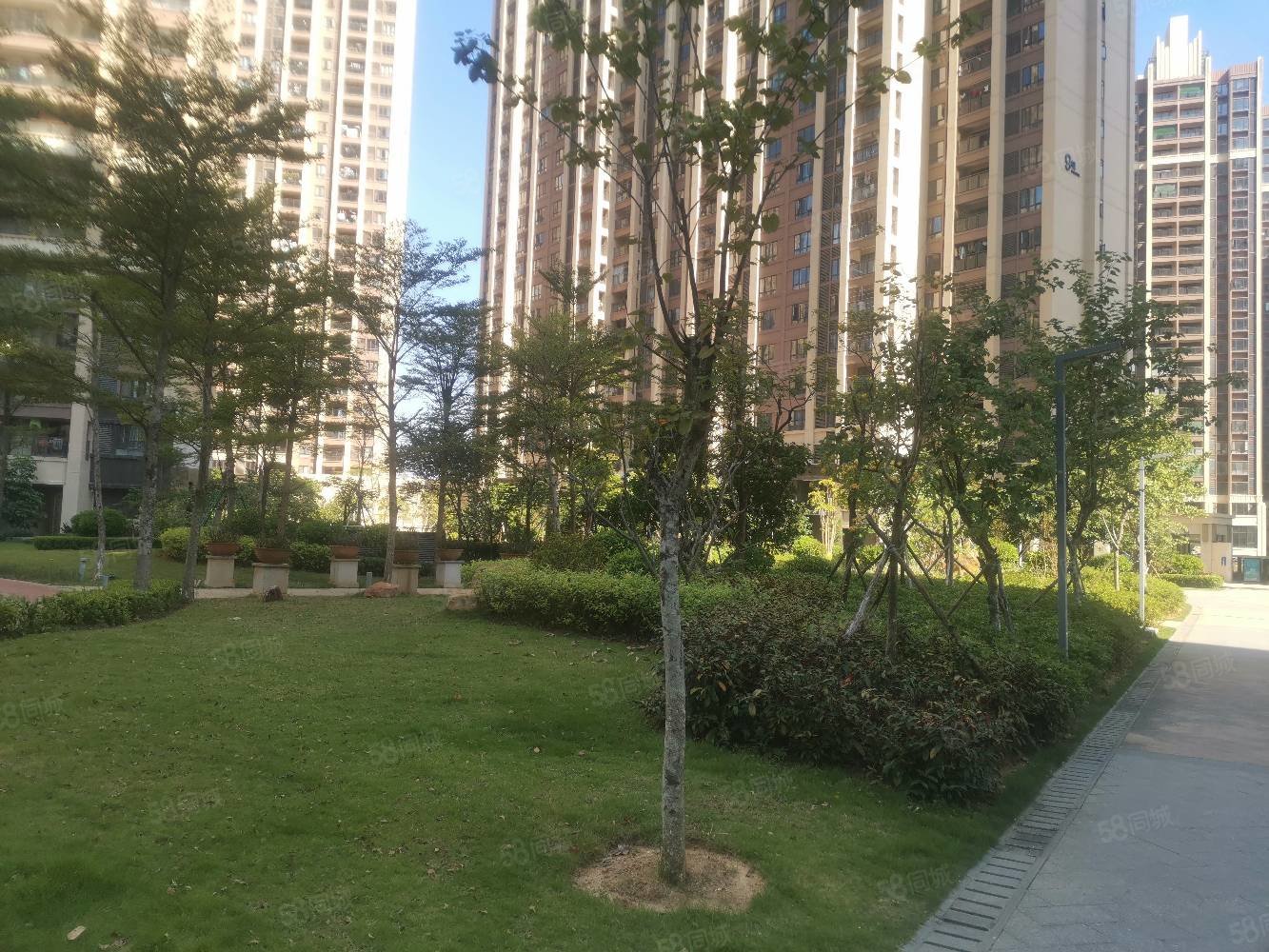 6100一平 南北对流 带自用平台 随时看房,申蓝宝邸(一期)-湛江58同城