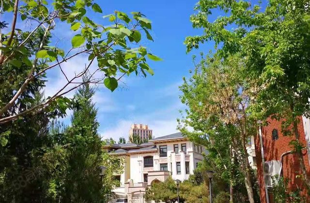 【哈尔滨松北中源大道私家别墅】-哈尔滨58同城