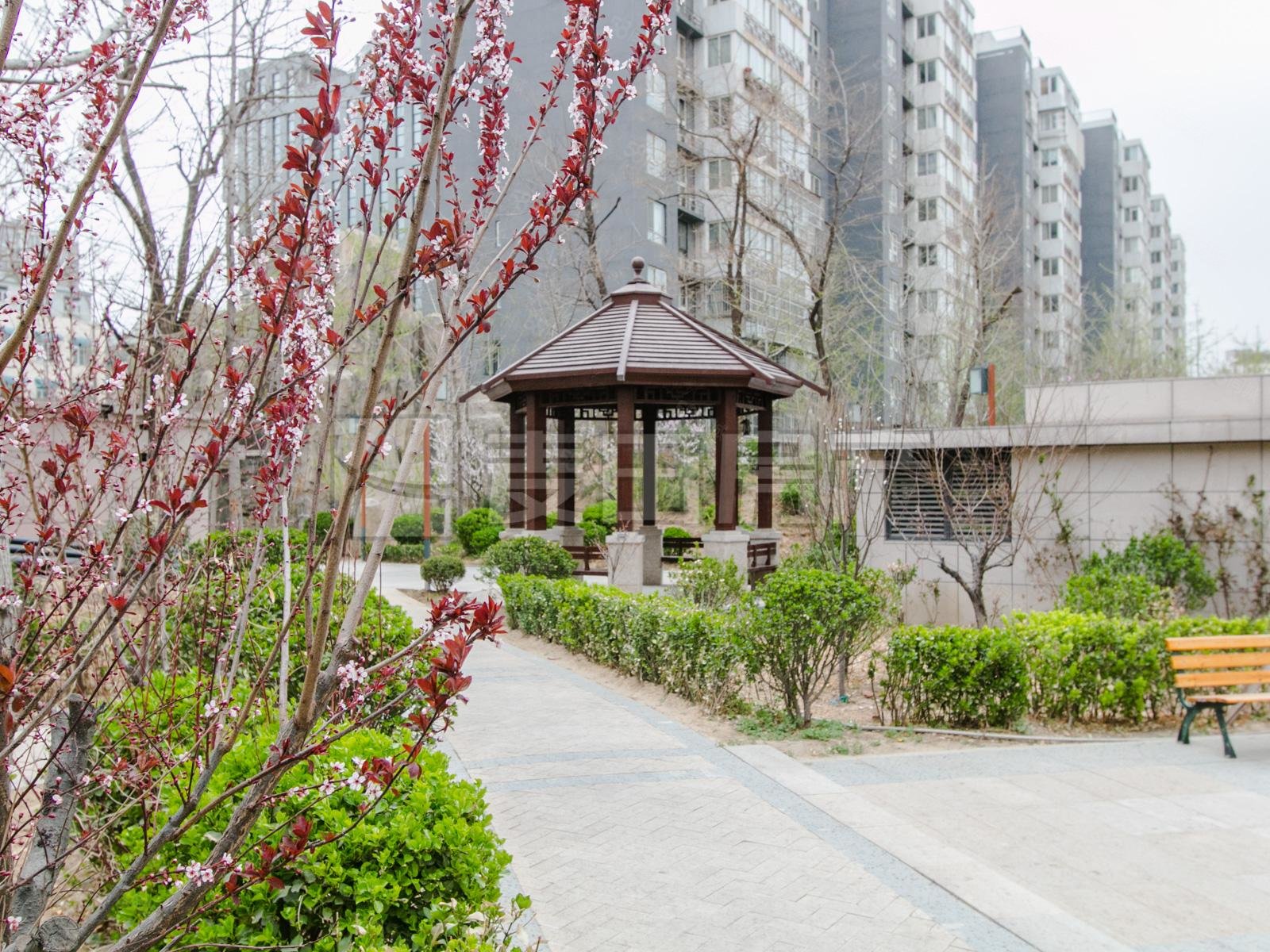【10图】南北通 5室2厅 江南山水(别墅) 精装修,江南山水(别墅)-北京