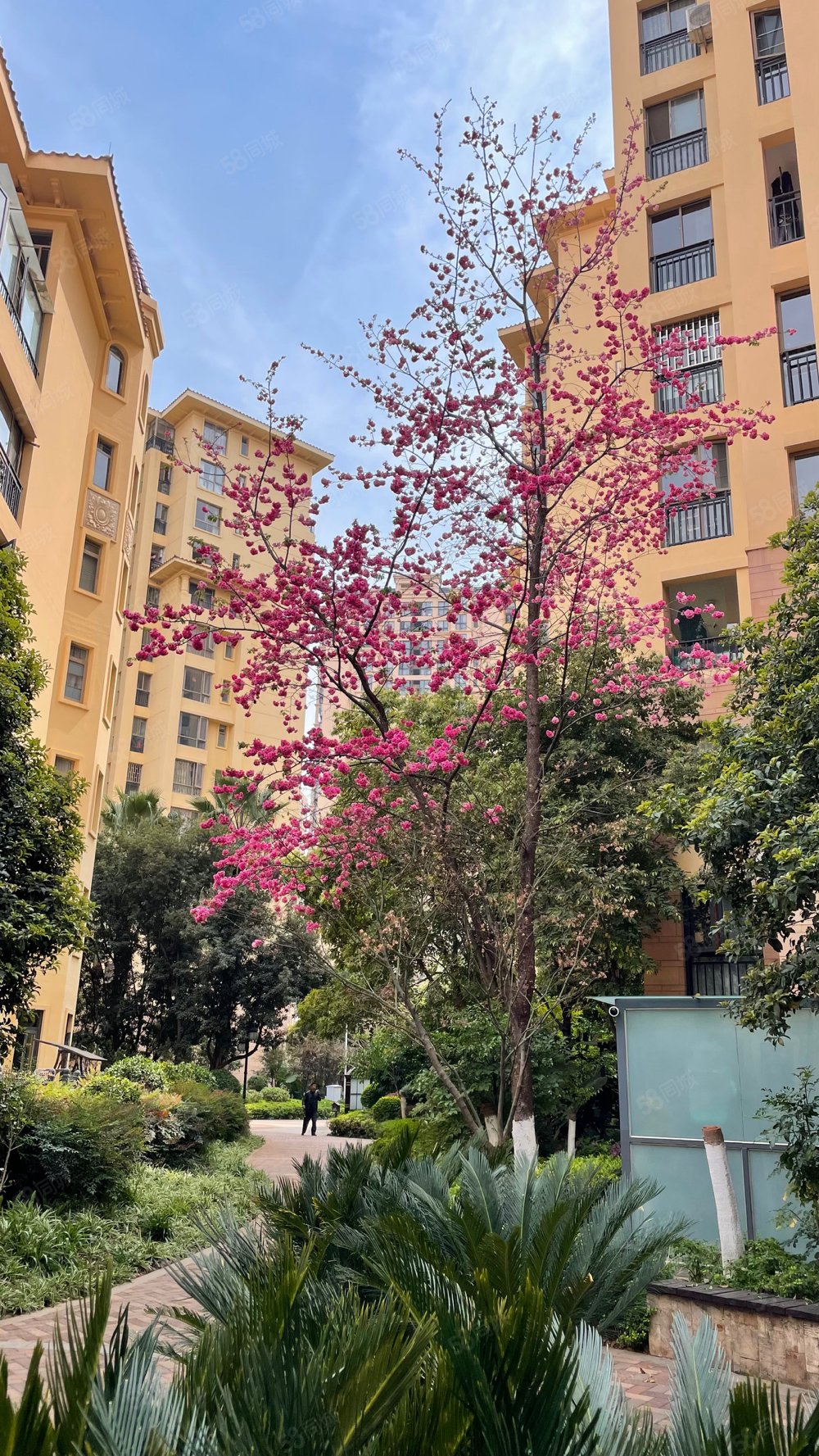 万达广场旁精装修跃层5室一梯两户南北通透环境优美绿化好