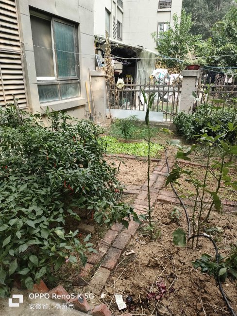 中海国际花园3室2厅1卫98㎡南46.8万