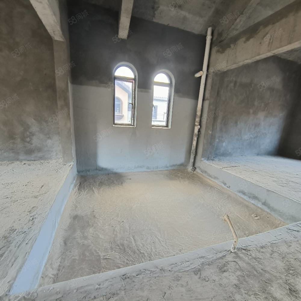 北部新洲莱茵别墅8室3厅7卫540㎡南北396万