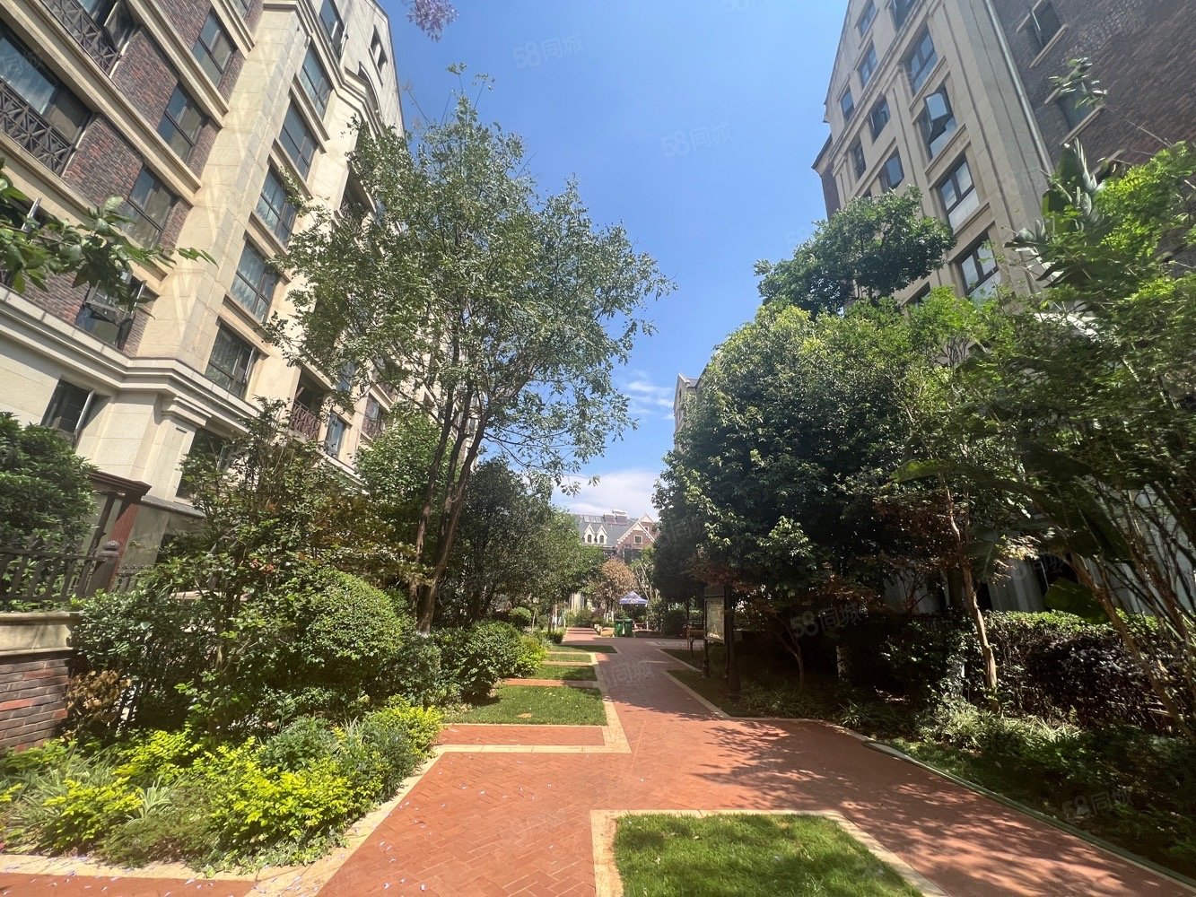 俊发九夏云水5室2厅4卫197.95㎡南北438万