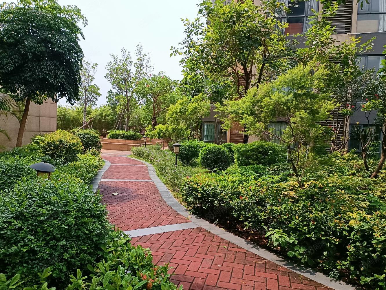 【10图】总价低的发不了 满五 单价9字头 精装修 小榄丽景名筑,丽景名