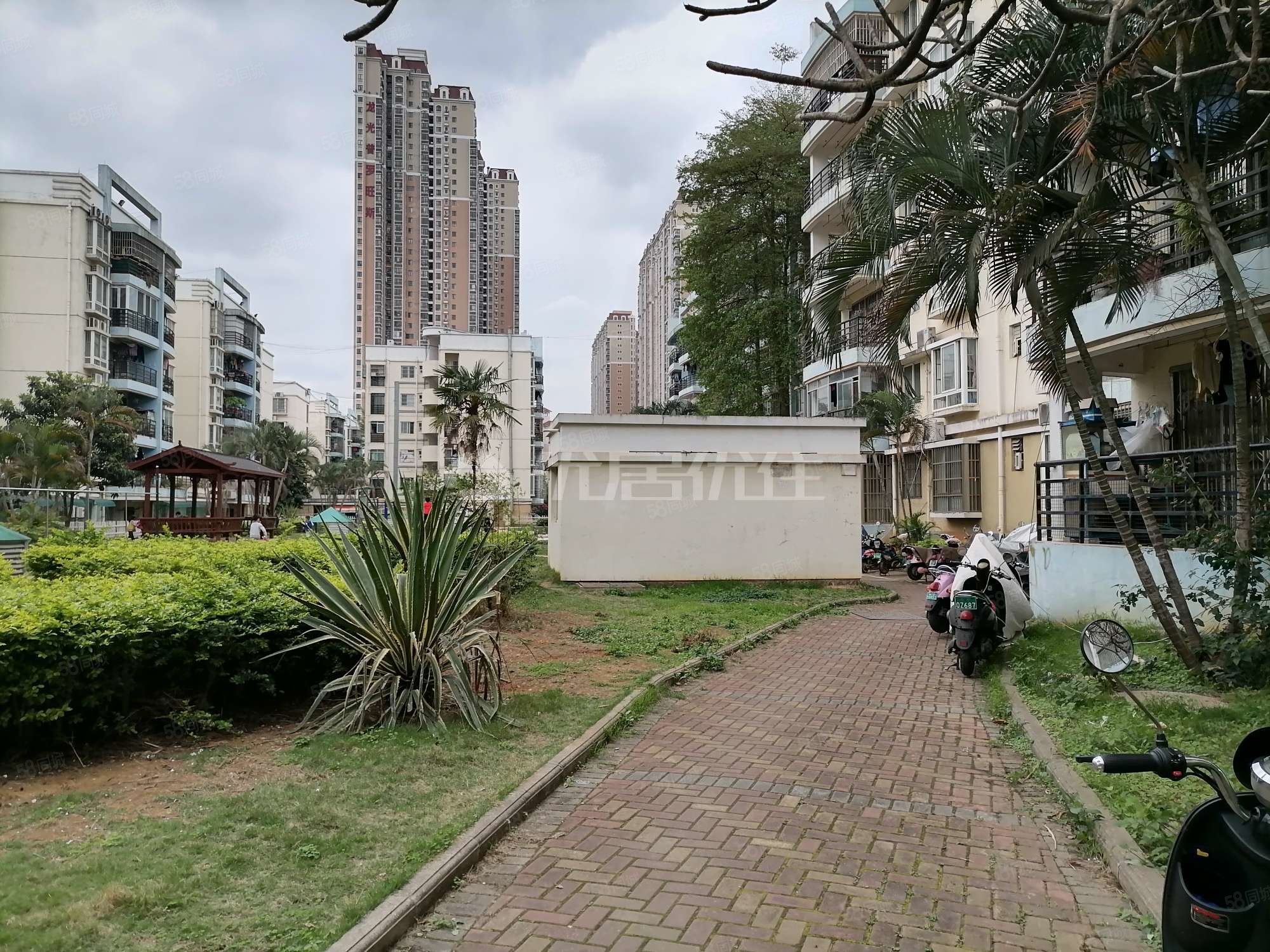 江南新兴苑精装大三房出售 一楼带花园可做停车位