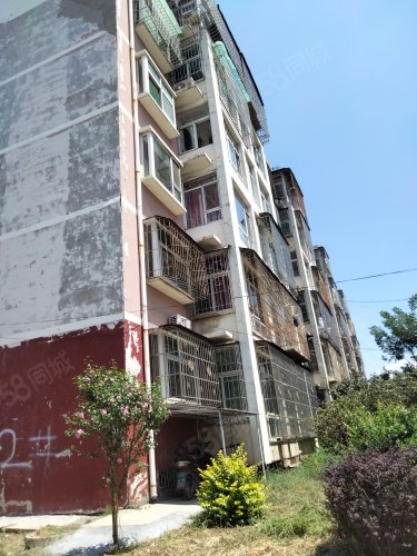 【东港湾花园小区房价走势,东港湾花园小区房屋出租