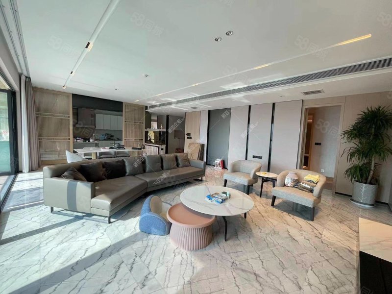 市中心俊发逸天峰266平 大平层豪装南北通透产权清晰随时过户