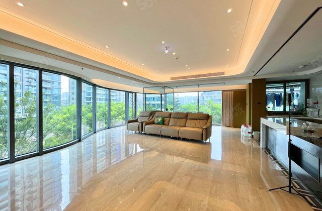 新希望D10天府4室2厅240㎡1250万二手房图片