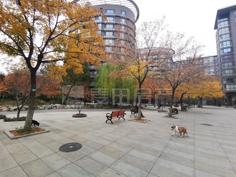 云會里園流清園2室1廳2衛(wèi)117.01㎡東西930萬