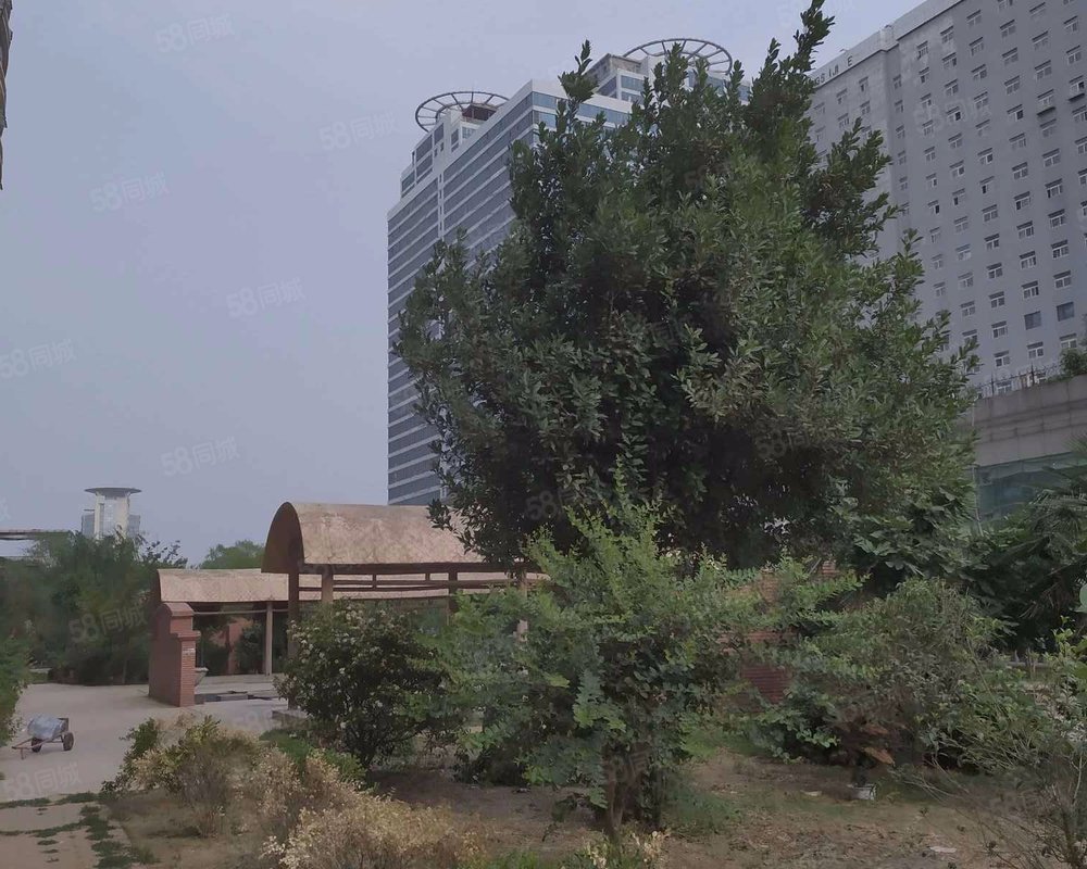 【金鹰花园, 金鹰花园小区详情,房价走势,房源,业主论坛】- 临沂58