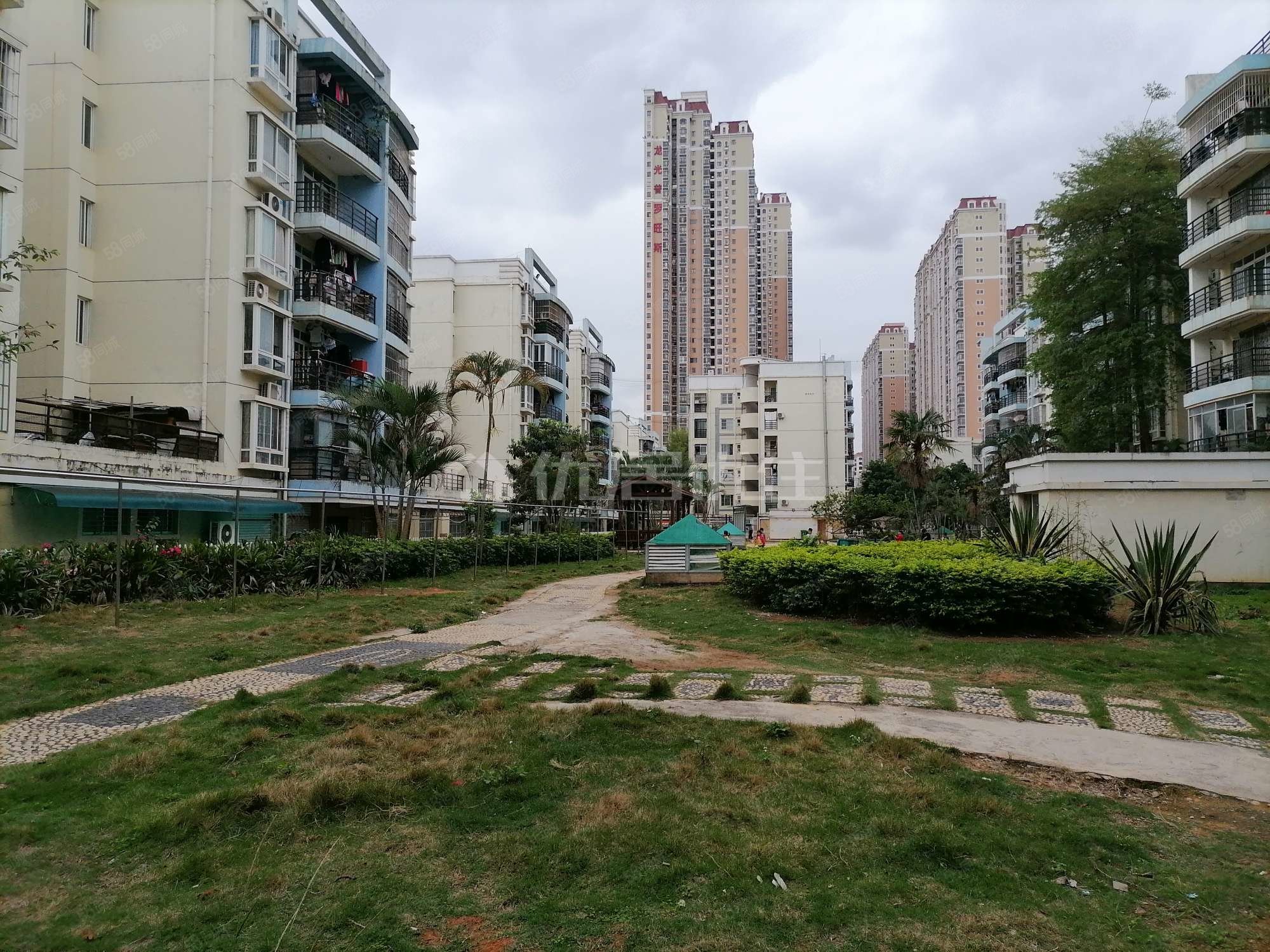 江南新兴苑精装大三房出售 一楼带花园可做停车位