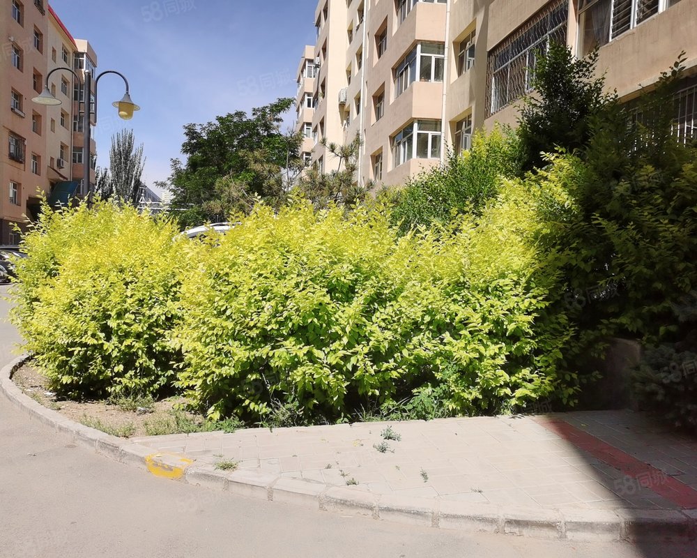 【康乐园, 康乐园小区详情,房价走势,房源,业主论坛】- 大同58同城