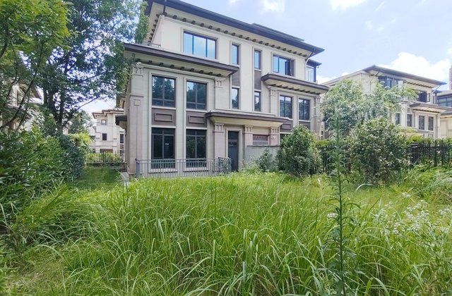 龙湖湘风原著(A3别墅)6室3厅258.01㎡500万二手房图片