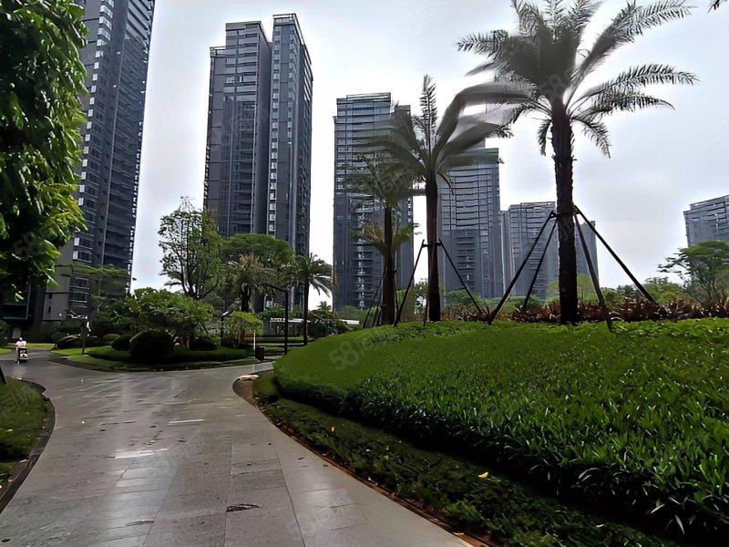 松湖碧桂园天钻一期房龄新满二出行方便板楼电梯房