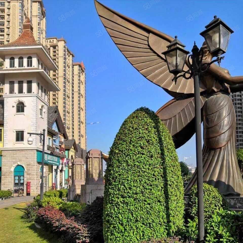 相思湖小镇 莱茵鹭湖 网红欧式豪装 复式两房 业主急售