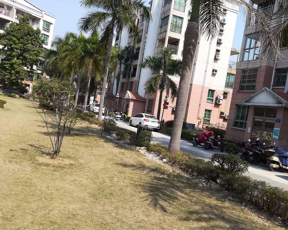 【逸涛雅苑, 逸涛雅苑小区详情,房价走势,房源,业主论坛】- 广州58