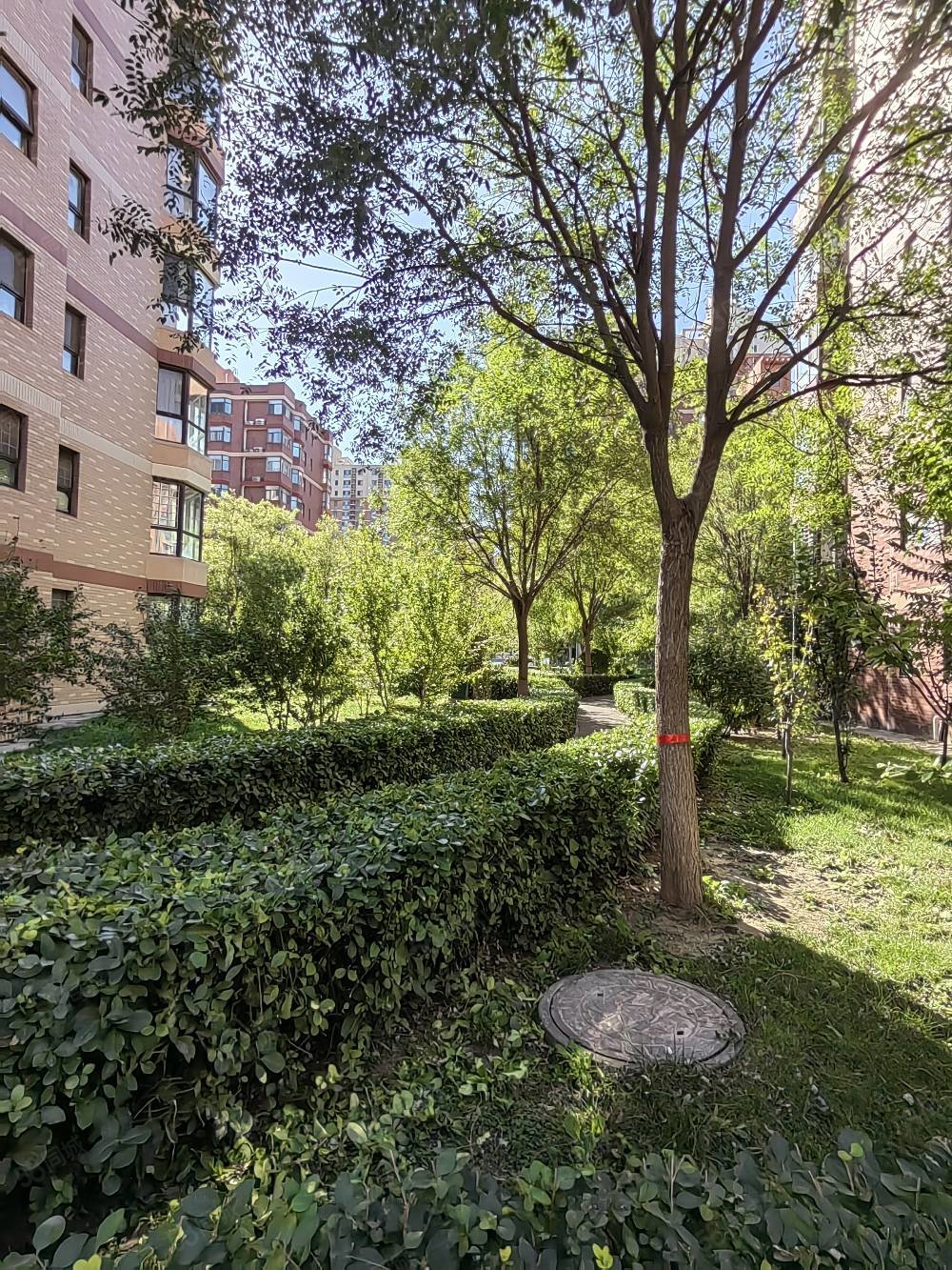 可议148万 紫金华府 通透全明 137平 有钥匙,紫金华府-廊坊58同城