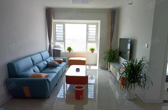 星光云创中心   3室2厅1卫1厨房东直卖、房东直卖价格可议