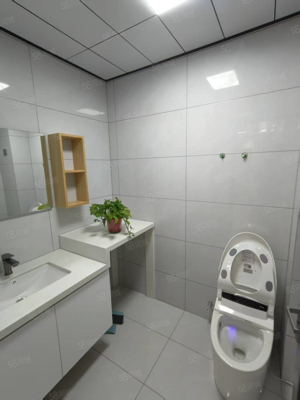 镇东花园2室1厅1卫77㎡南北30.8万