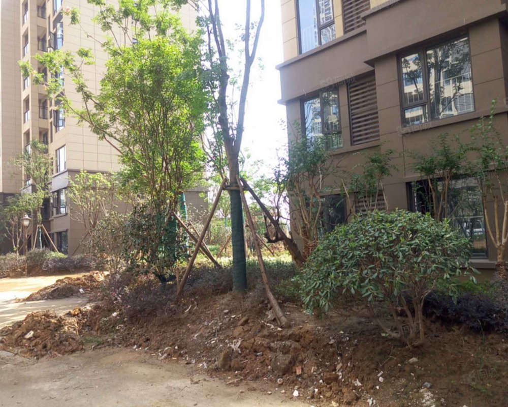 【水墨江郡(南区), 水墨江郡(南区)小区详情,房价走势,房源,业主论坛