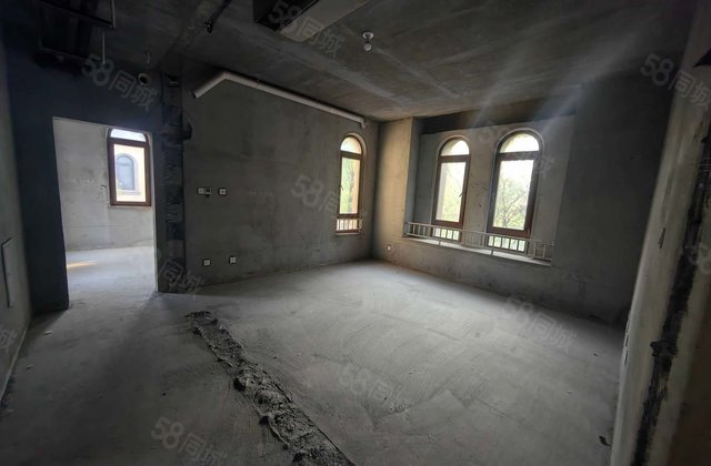 钢管城 江北水镇 别墅398平 西边大院 免大税急卖