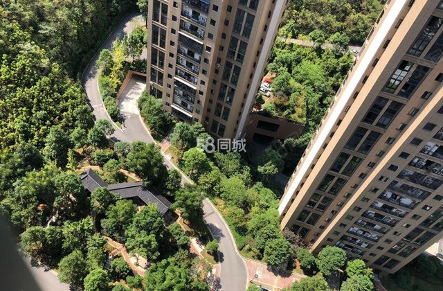 天马花园1室0厅40㎡21万二手房图片