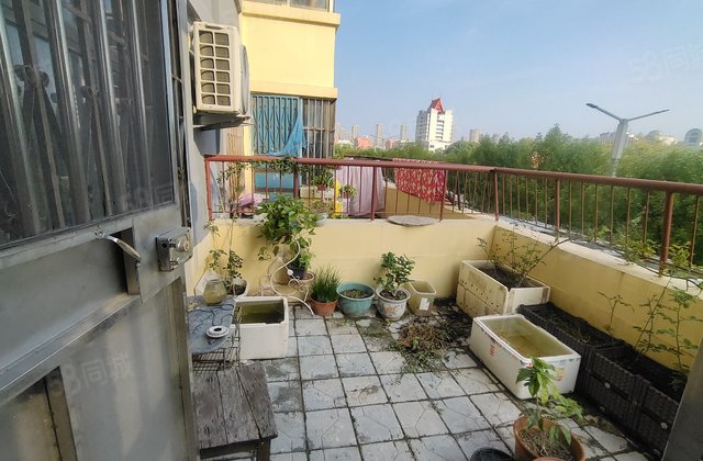 急售 文轩本部 3楼 带花园露台 红旗   聊大西苑 羡林苑