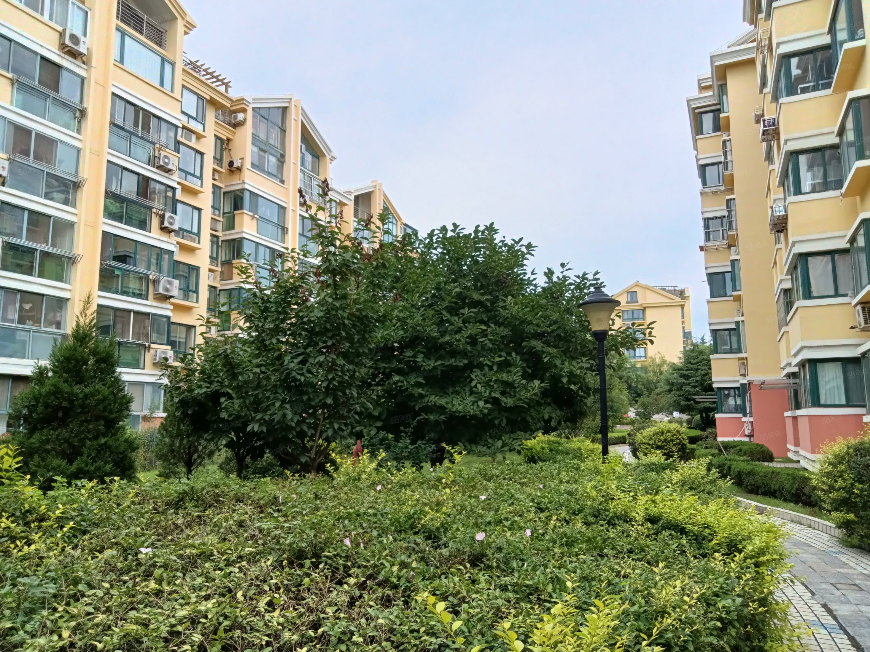 丰华园 封闭小区 套三双卫(精装)省个税 大润发 广电大厦