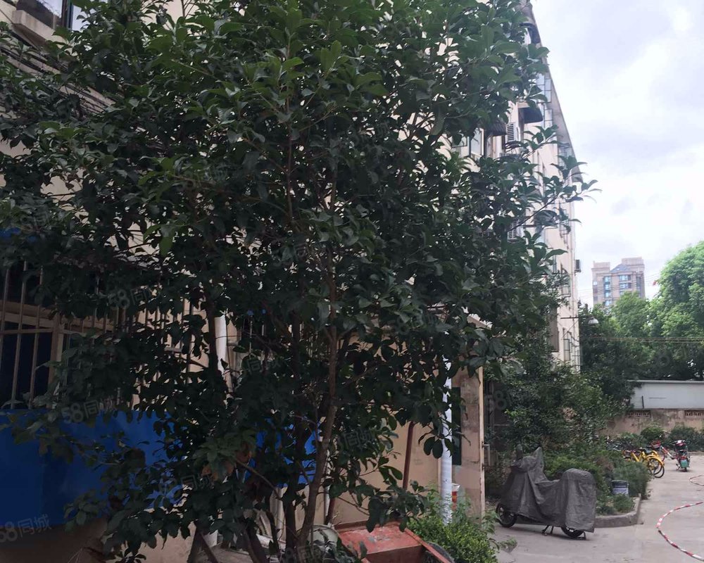 淞南新村小区中外环之间