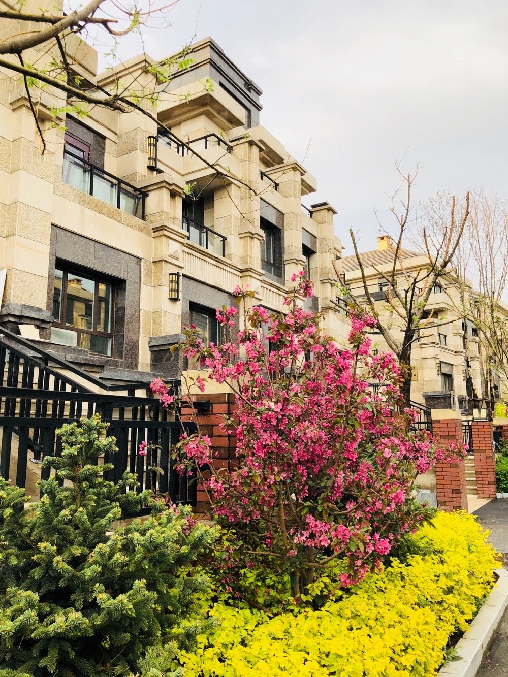 【10图】小白河公馆 黄河龙城别墅住在公园里 负氧离子高,黄河龙城