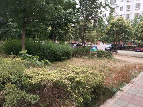 【龙山花园房价走势,龙山花园房屋出租,龙山花园二手房出售】- 邹城58