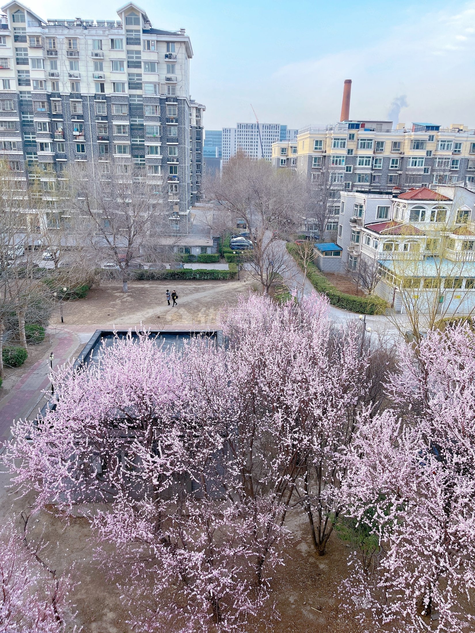 上林苑南北通透大两居中楼层