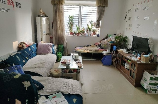 望湖花园 电梯好楼层 实验 文轩集团！急售！