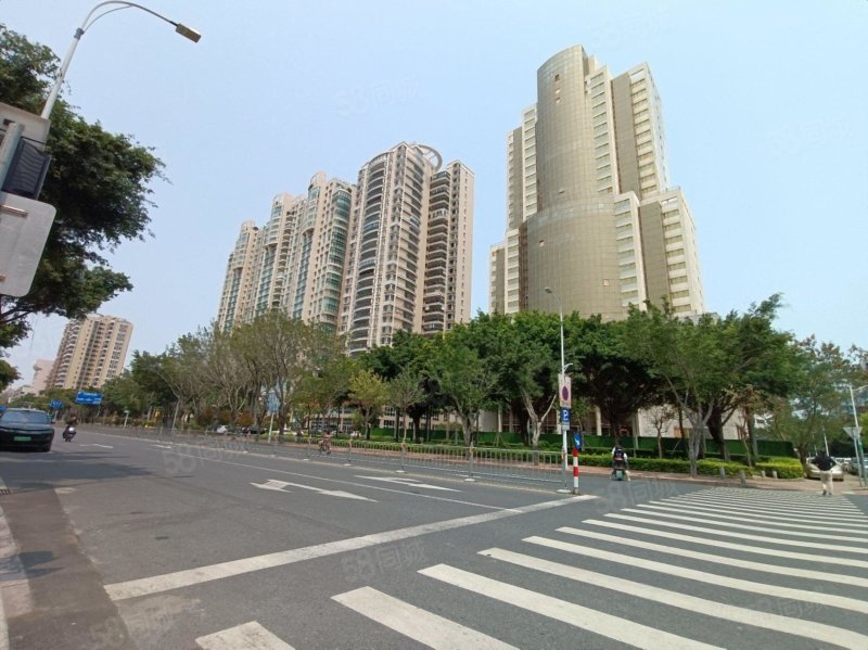 自盘韩江路金涛庄怡景大厦电梯8楼三面采光176平4房2厅