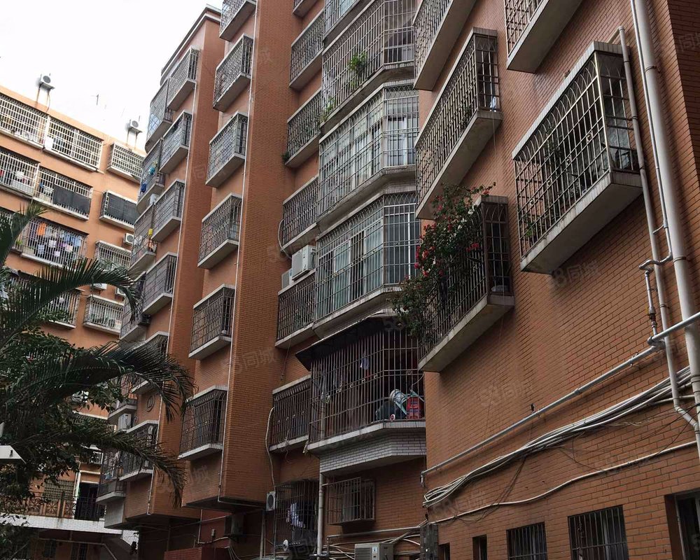 【天福园, 天福园小区详情,房价走势,房源,业主论坛】- 漳州58同城