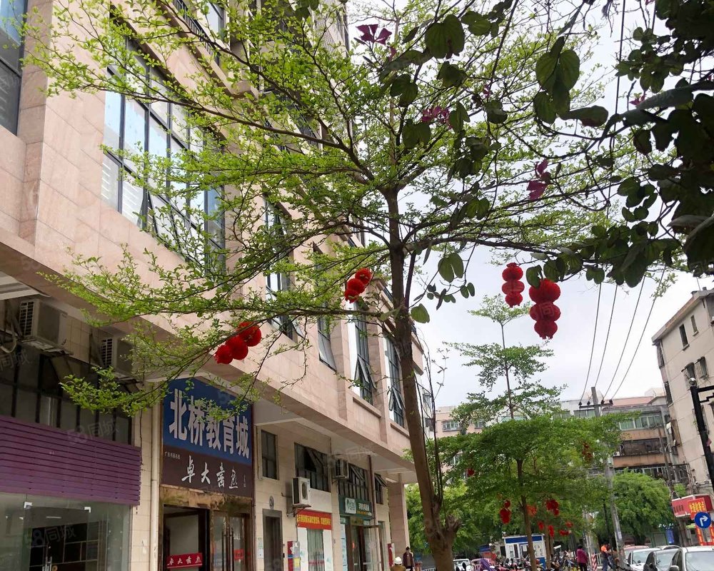 【寰儒大厦, 寰儒大厦小区详情,房价走势,房源,业主论坛】- 湛江58