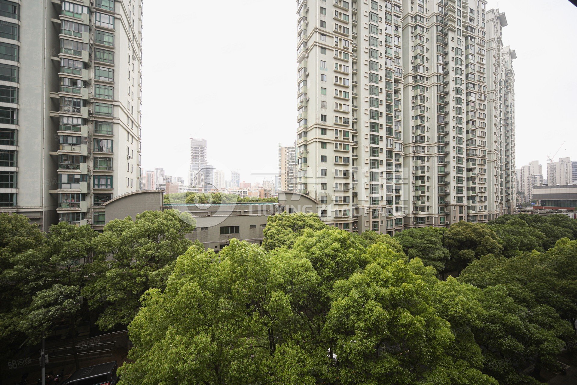 业主打新买好,急售!,苏河融景-上海58同城